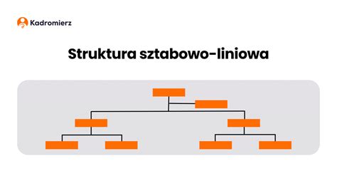 Graficzne przedstawienie struktury premii i benefitów