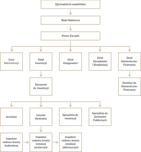 Schemat przedstawiający strukturę Publicis Groupe i jej agencje