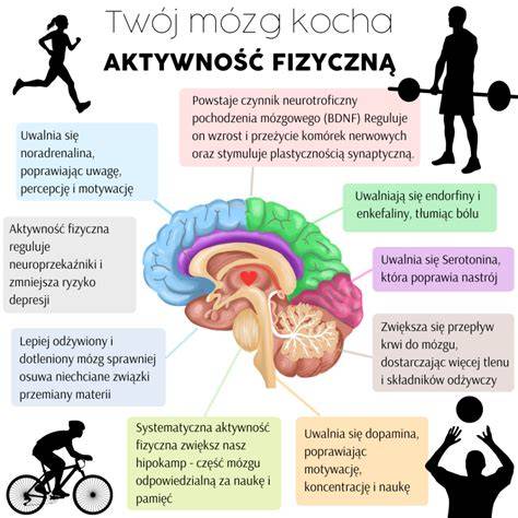 Infografika przedstawiająca korzyści zdrowotne lecytyny sojowej