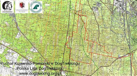 Mapa Białych Błot z zaznaczonymi potencjalnymi miejscami staży