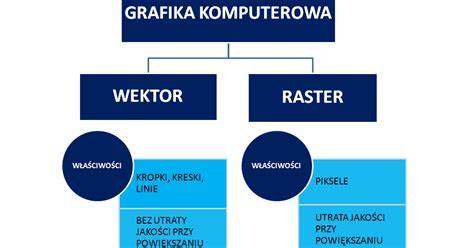 Schemat pokazujący podział staży na płatne/bezpłatne i stacjonarne/zdalne/hybrydowe