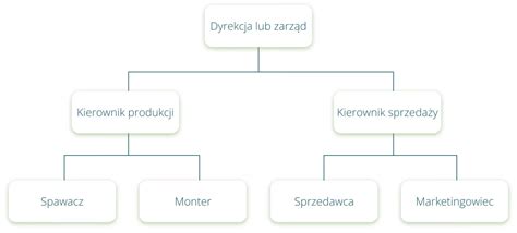 Schemat struktury organizacyjnej firmy Aegon