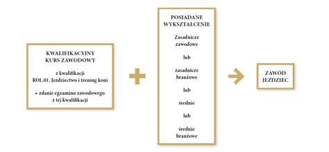 Grafika przedstawiająca ścieżkę kariery z punktami startowymi dla różnych grup wiekowych