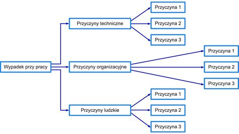 Schemat przedstawiający podmioty mogące organizować staż
