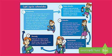 Infografika pokazująca główne etapy procesu zatrudniania cudzoziemca