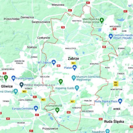 mapa Zabrza z zaznaczonymi potencjalnymi miejscami pracy w branży SPA i medycynie