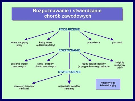 Schemat procesu zgłaszania do ZUS w zależności od statusu studenta