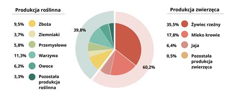 Infografika przedstawiająca strukturę produkcji rolnej w Polsce.