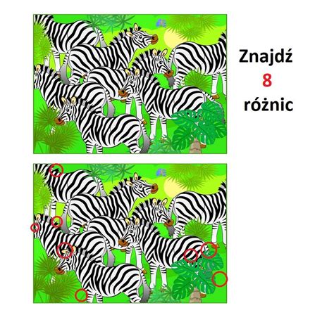 Schemat różnic między najmem a usługą noclegową