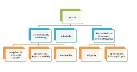 Schemat podziału stanowisk w IT
