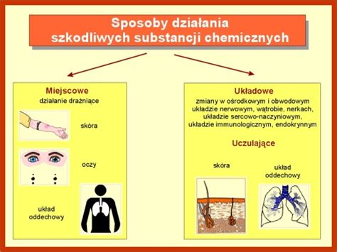 Schemat działania ibuprofenu na organizm