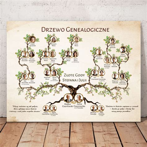 Drzewo genealogiczne z zaznaczonymi rolami rodziny