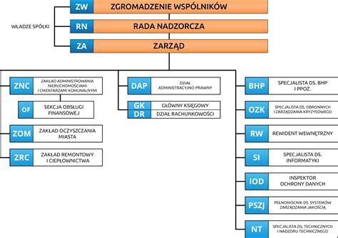 Schemat struktury spółki z zaznaczonym prokurentem