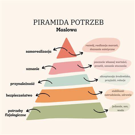 Grafika przedstawiająca piramidę hierarchii w miejscu pracy z zaznaczonymi prawami pracownika.