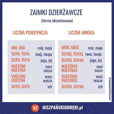 Zaimki dzierżawcze w języku polskim