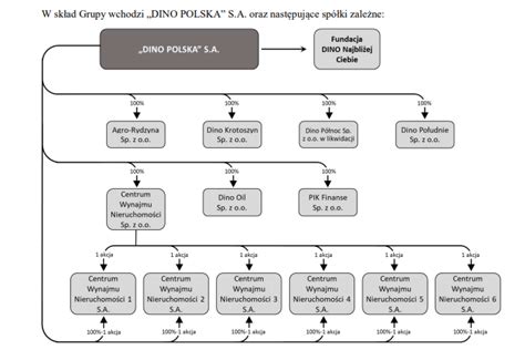 Struktura przychodów Dino Polska według kategorii produktów