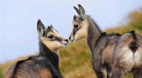 Zdjęcie pracownika parku narodowego podczas pracy