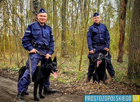 Policyjny znaczek służbowy