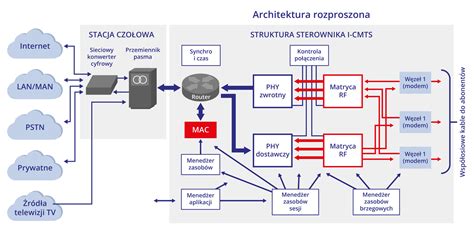 Grafika przedstawiająca schemat programu stażowego dla bezrobotnych.