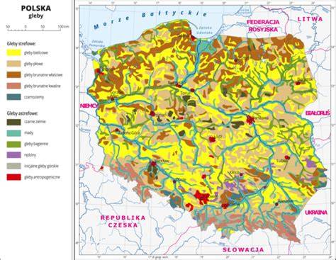 Mapa przedstawiająca podział gruntów rolnych w Polsce