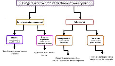 Schemat przedstawiający zasady dodatkowego zatrudnienia