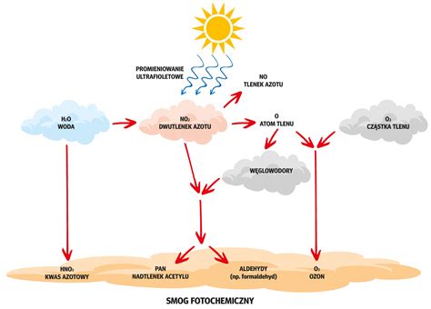 Schemat powstawania różnic przejściowych i trwałych
