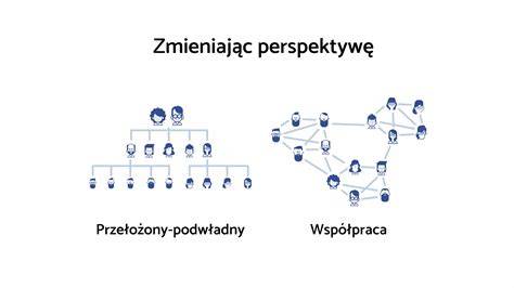 Schemat organizacji stażu