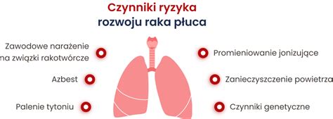 Wykres porównujący ryzyko zachorowania na raka płuca u osób palących i niepalących