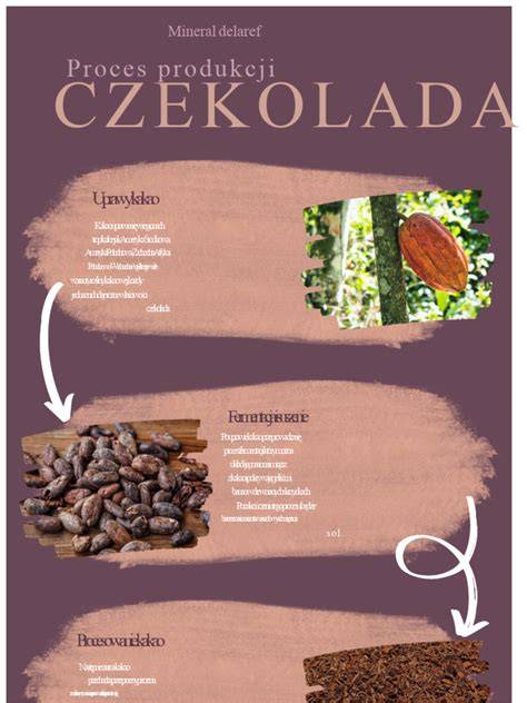 Infografika: Proces uzyskiwania i cofania zaświadczenia A1