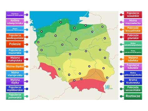 Mapa Polski z zaznaczonymi regionami o największym spadku ofert pracy.