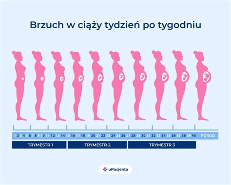 Ikona symbolizująca kobietę w ciąży