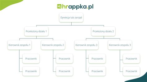 Grafika przedstawiająca strukturę zarządu spółki