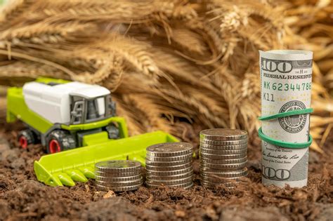 Schemat rozliczeń VAT dla rolnika ryczałtowego