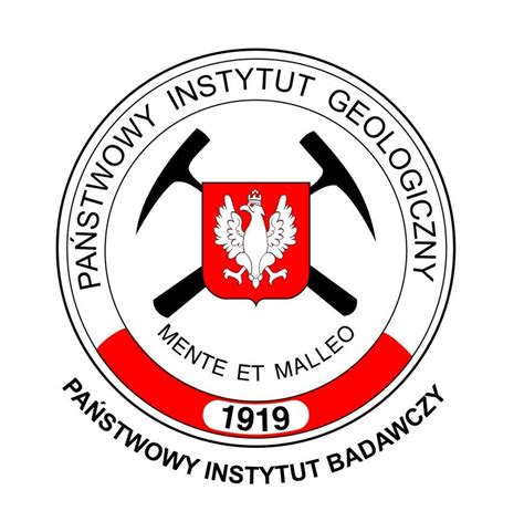 Logo NASK - Państwowego Instytutu Badawczego