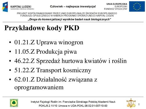 Przykładowe kody PKD dla branży beauty