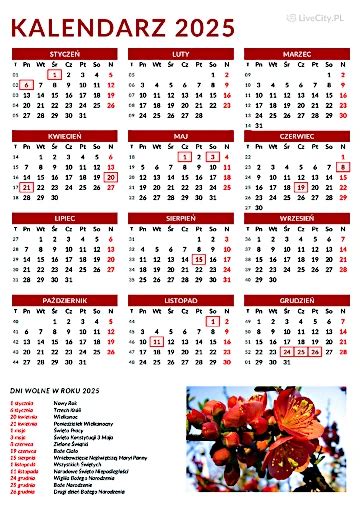 Kalendarz z zaznaczonymi datami wypłat 14. emerytury we wrześniu 2025 roku