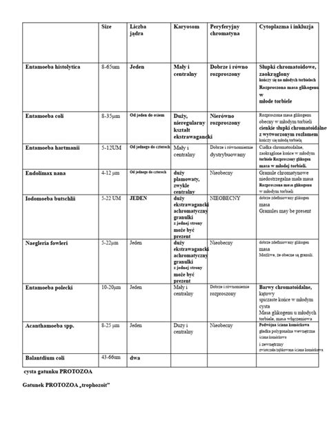 Tabela podsumowująca kluczowe aspekty zatrudnienia w samorządzie