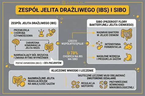 Infografika porównująca komunikację z żargonem i bez