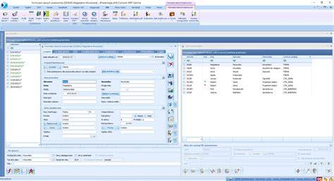 Interfejs modułu Kadry i Płace w Comarch ERP Optima