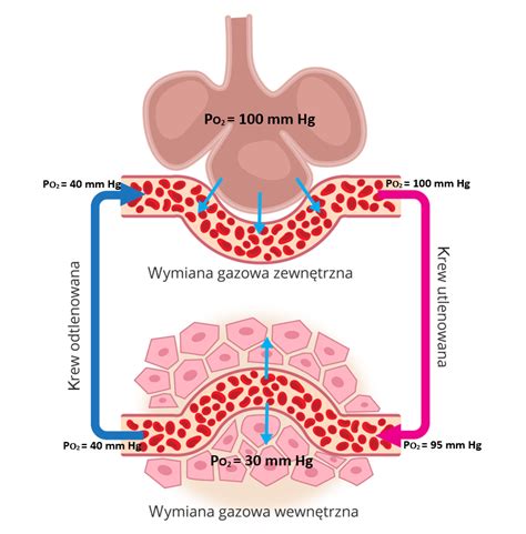 Schemat różnicy między godzinami nadliczbowymi a ponadwymiarowymi