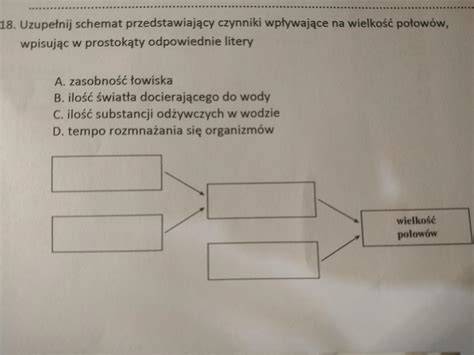 Schemat przedstawiający czynniki wpływające na zarobki w branży sprzątającej