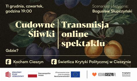 Infografika - ścieżki aktywnej integracji