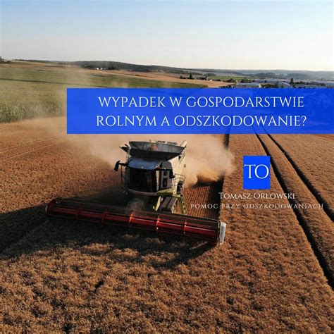 Pracownicy w gospodarstwie rolnym podczas prac polowych