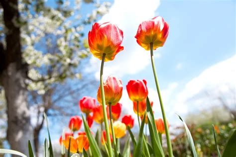 Ilustracja przedstawiająca różne cele wizyty w Polsce