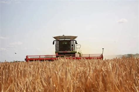 Zdjęcie nowoczesnego kombajnu pracującego na kazachskim polu