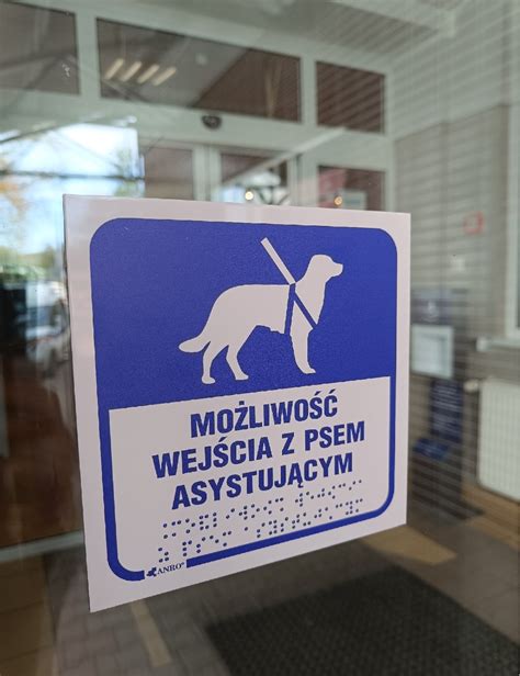 Zdjęcie osoby z psem asystującym w przestrzeni publicznej