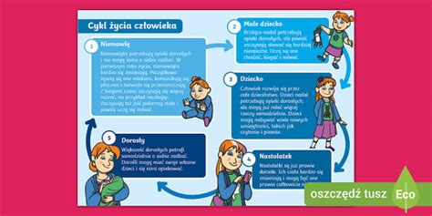 Infografika: Ścieżka rodzica po urlopie macierzyńskim