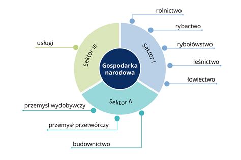 Schemat podziału sektorów gospodarki