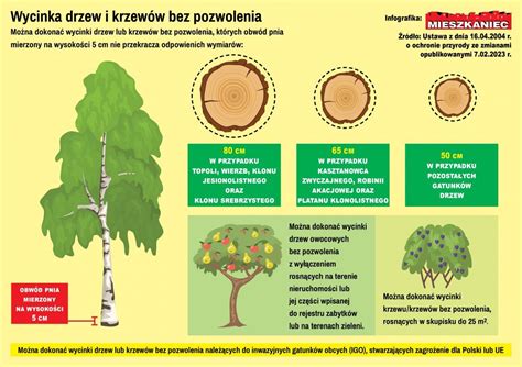 Schemat procedury uzyskania pozwolenia na wycinkę drzew