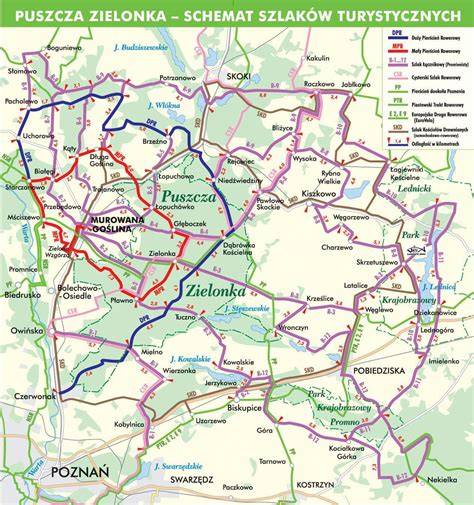 Mapa z zaznaczonymi trasami rowerowymi w Polsce